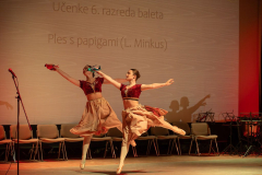 slika-13