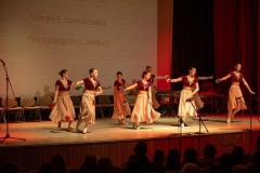 slika-14