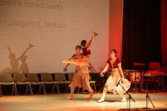 slika-16